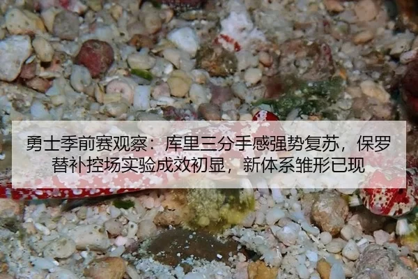 勇士季前赛观察：库里三分手感强势复苏，保罗替补控场实验成效初显，新体系雏形已现